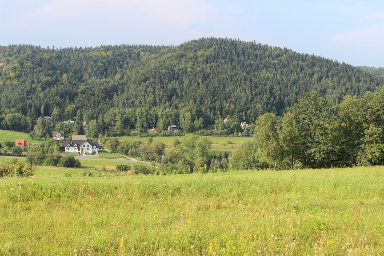 Dwor Bysina Villa Myslenice ภายนอก รูปภาพ